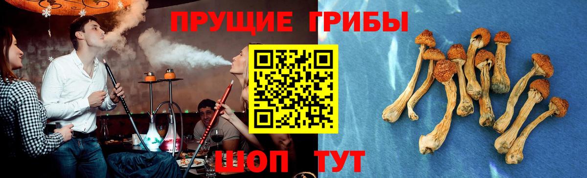 Псилоцибиновые грибы Psilocybine cubensis  что такое   Сосновоборск  Вход с VPN 